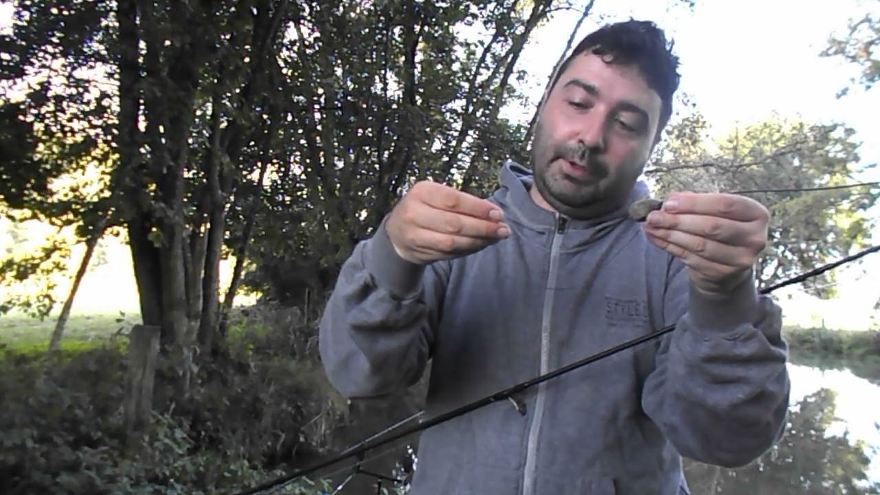 pêche à la carpe