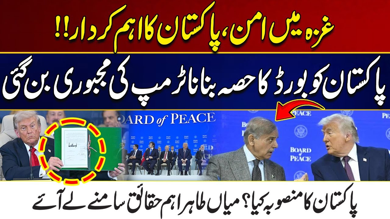Peace in Gaza, Pakistan's Important Role | What is Pakistan's Plan? Must Watch | City 21