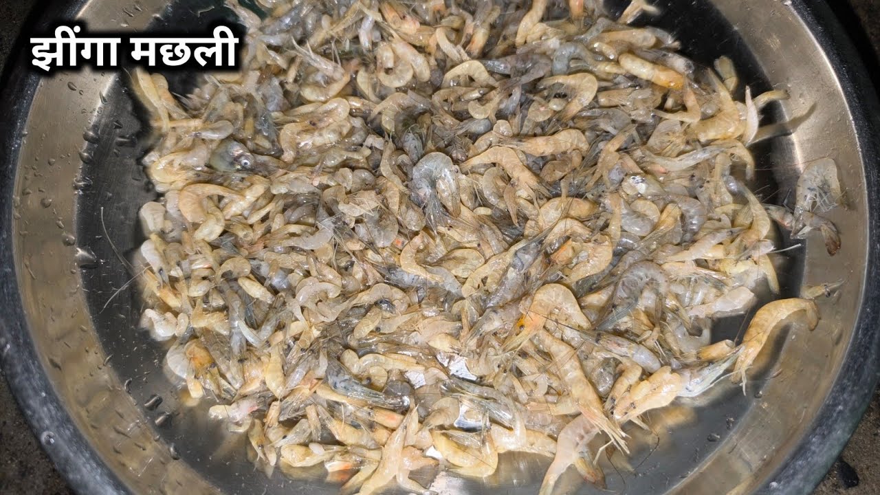 छोटी झींगा मछली झमरुआ स्टाईल रेसिपी 😋 | #jhinga Machhali | #food 