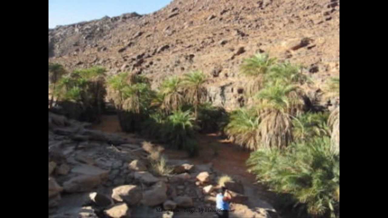 2009 Mauritanie Sahara, Oasis de Tergit, Sources et Tentes, Dans l' Adrar, Terjit, Khaïma
