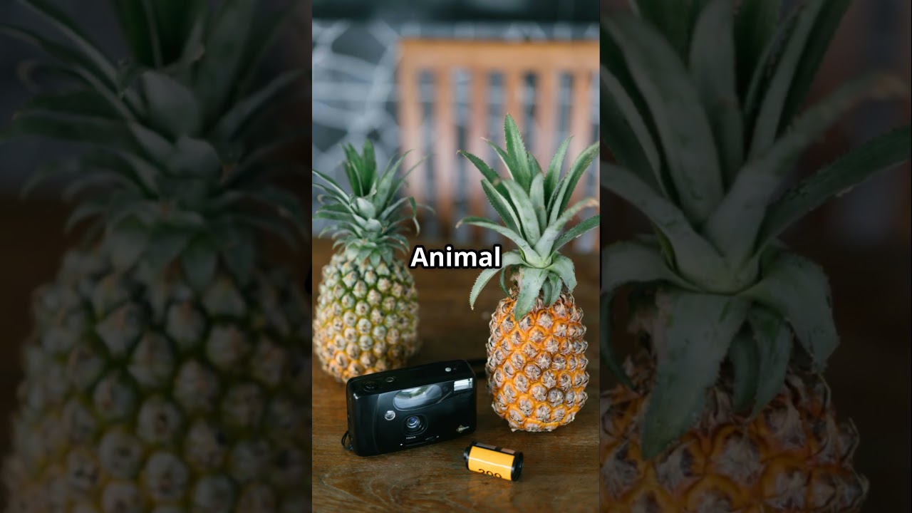 1080 Pineapple Fruz  A Tropical High