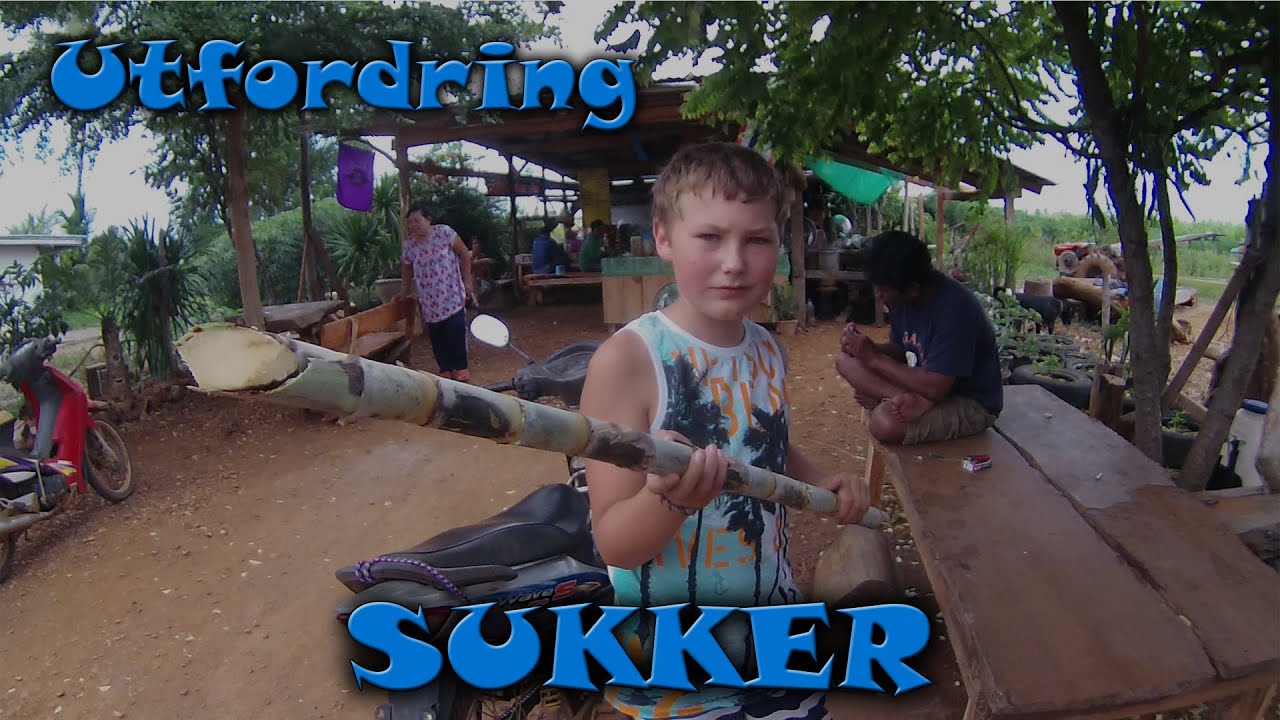 SUKKER i dagens UTFORDRING fra Thailand