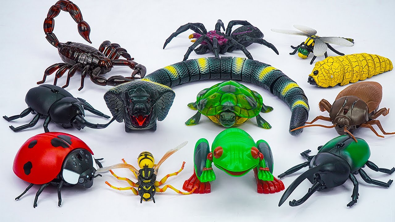 [🐰toy asmr🐰] Remote Control Huge Cobra Snake & Big Robo Insect Collection Playset ASMR 🐍 Review Toys