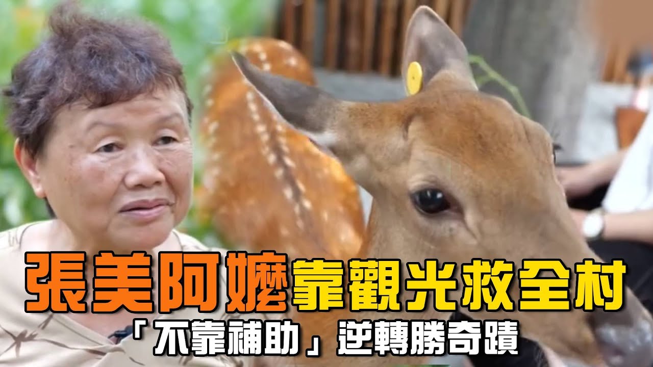 門票3年漲7倍仍秒殺！張美阿嬤靠”觀光”救全村 揭村長「不靠補助」逆轉勝奇蹟｜94要賺錢