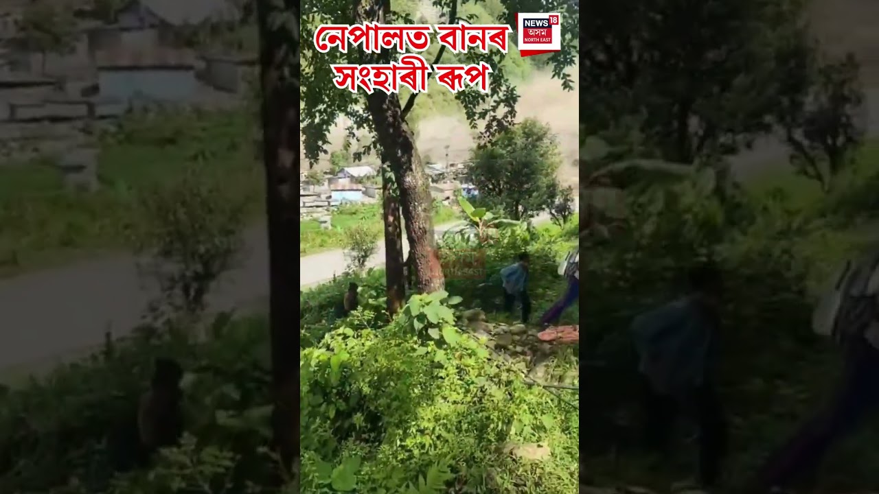 Nepal Flash Flood । ৰুষ্ট প্ৰকৃতি, নেপালত মুহূৰ্তৰ ভিতৰতে পাহাৰৰ পৰা হোৰাহোৰে নামি আহিল পানী