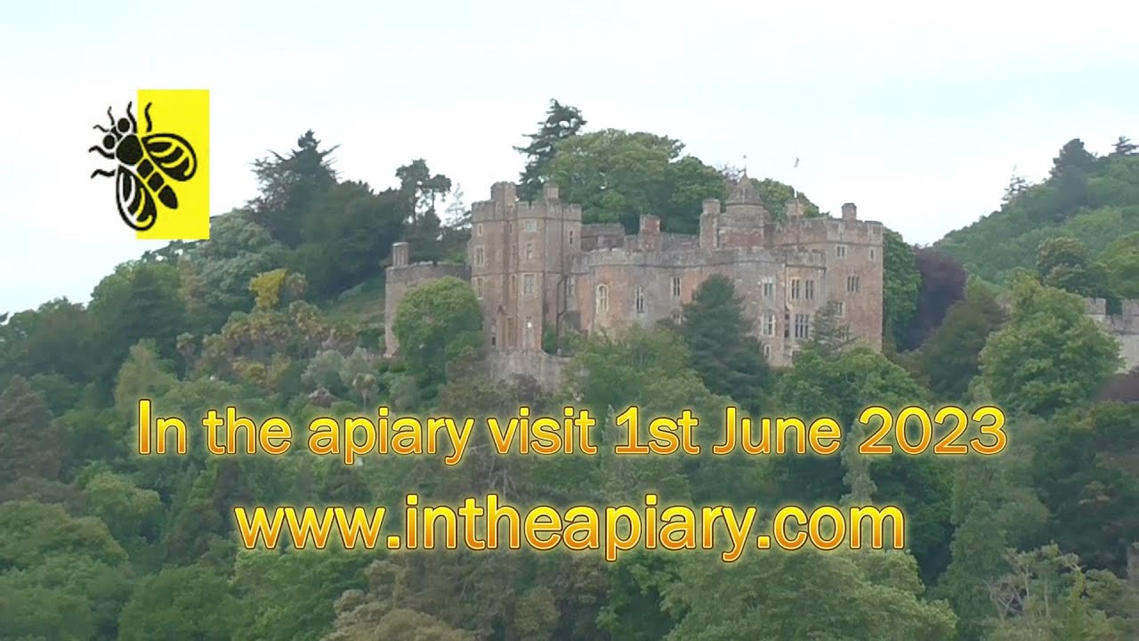 In The Apiary visit 1st June 2023