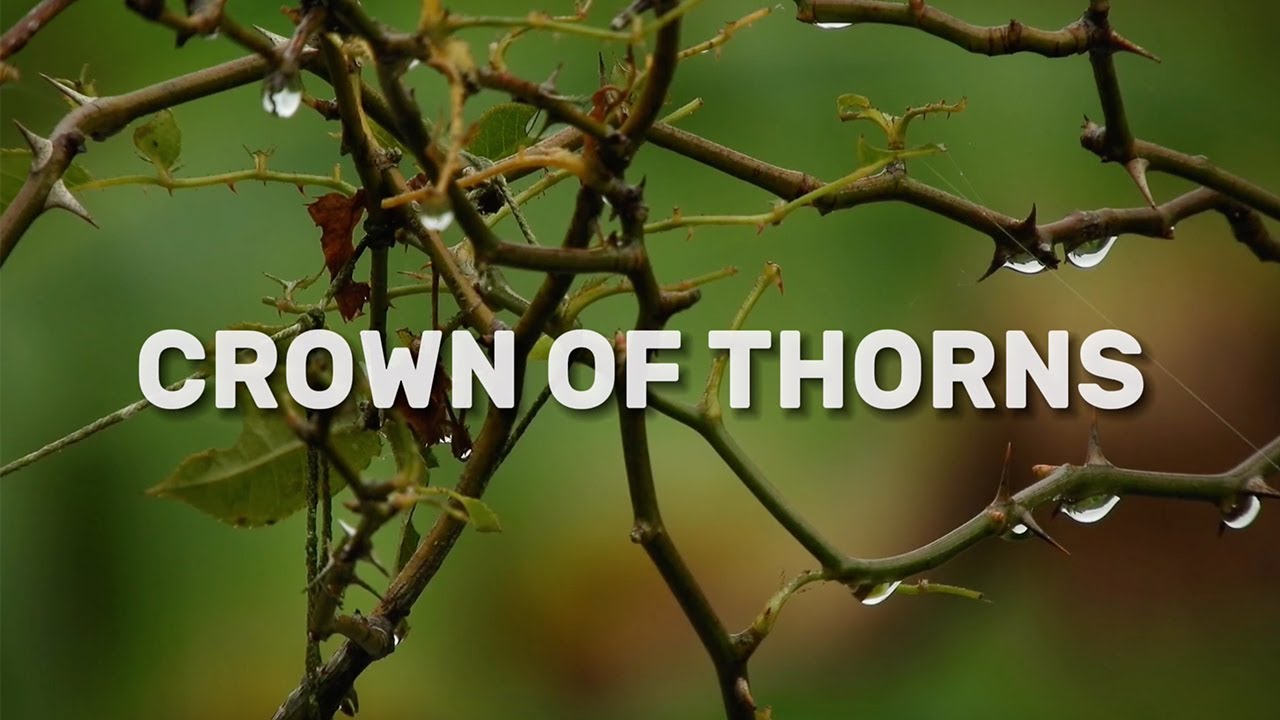 👑 Crown of Thorns - Official Lyric Video 👑