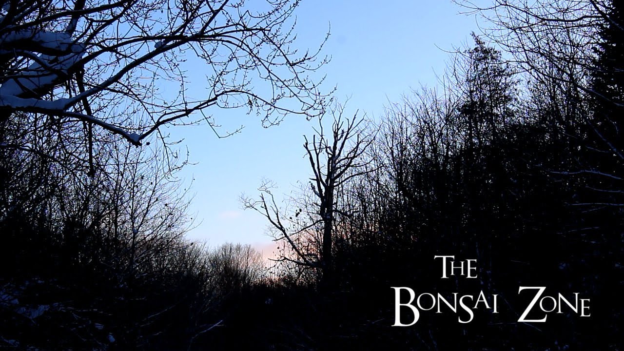 Photography and a New Year's Workout, in the Bonsai Zone, Jan 2018