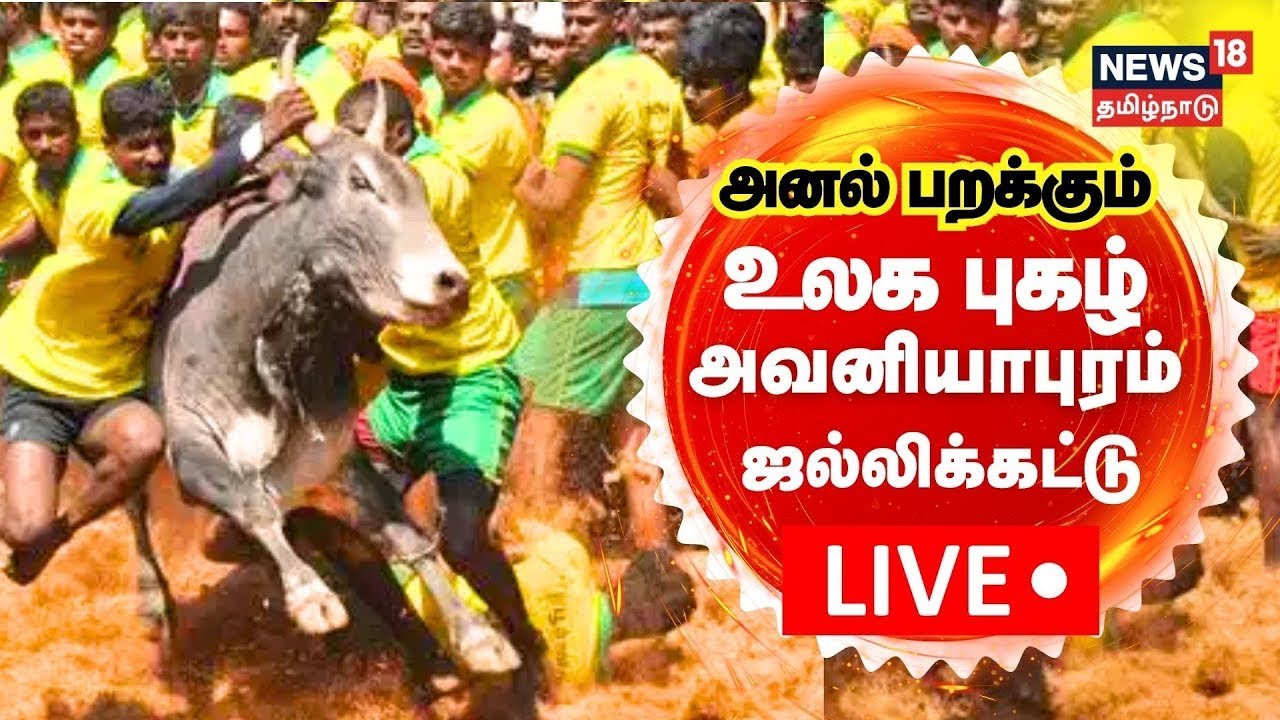 🔴LIVE: Avaniyapuram Jallikattu 2024 | உலக புகழ் அவனியாபுரம் ஜல்லிக்கட்டு - சிறப்பு நேரலை | Madurai