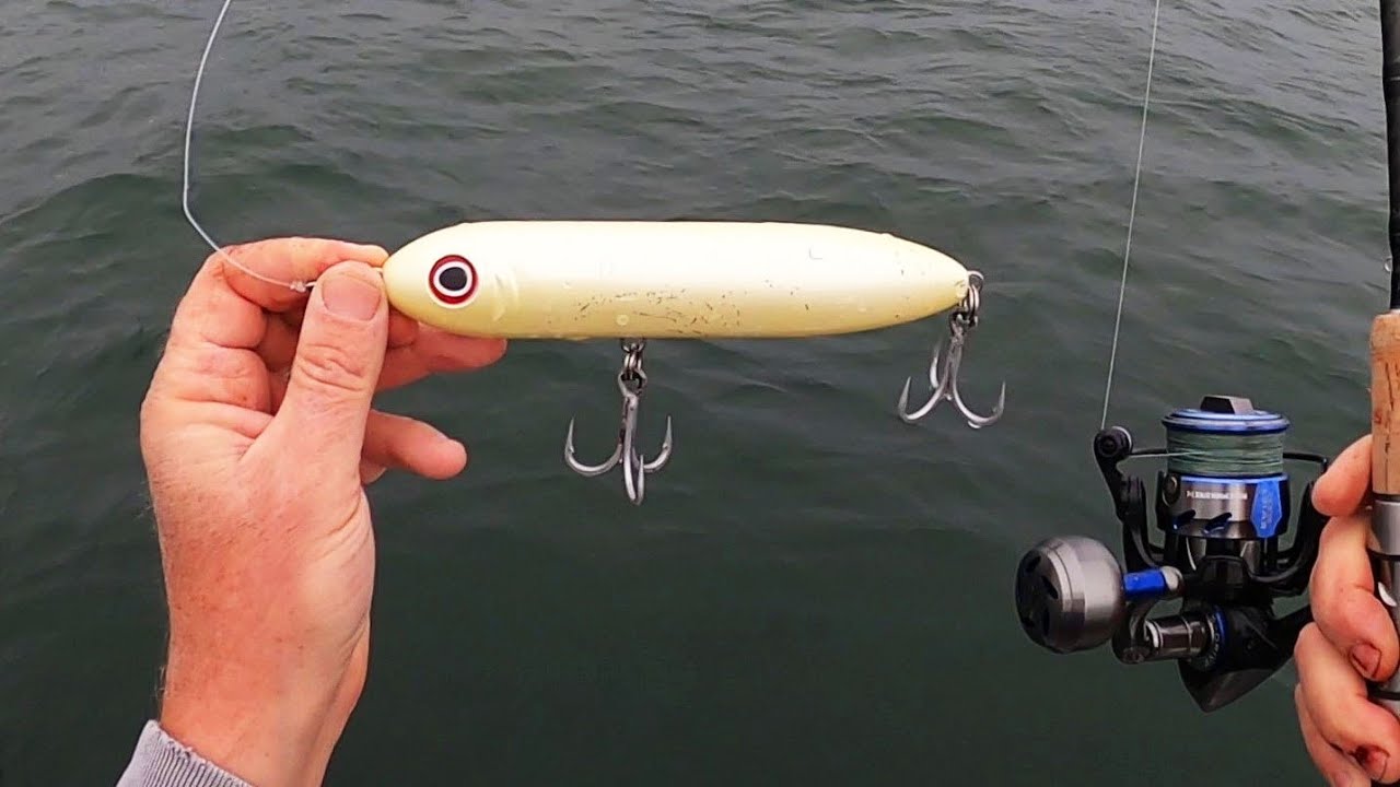 Awesome Surfcasting Trip With Large Spook Lure!