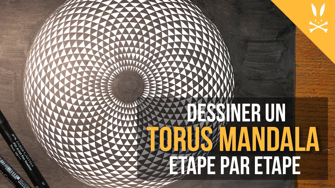 DESSINER UN TORUS MANDALA ETAPE PAR ETAPE - UN PETIT COUP DE PATTE - HARESTUDIO