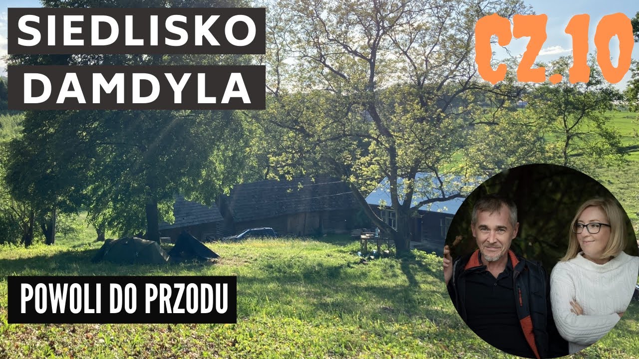 Siedlisko Damdyla cz.10 Powoli do przodu. Sąsiad zabiera część gabarytów. Co znalazłem sprzątając?