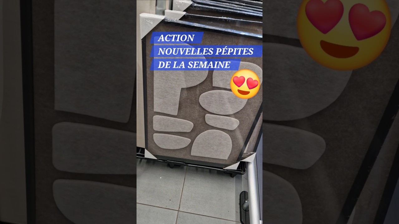 ACTION ARRIVAGE DU 22 OCTOBRE  2025 #ACTION #bonplan #haul #nouveaut&eacute;s #shopping