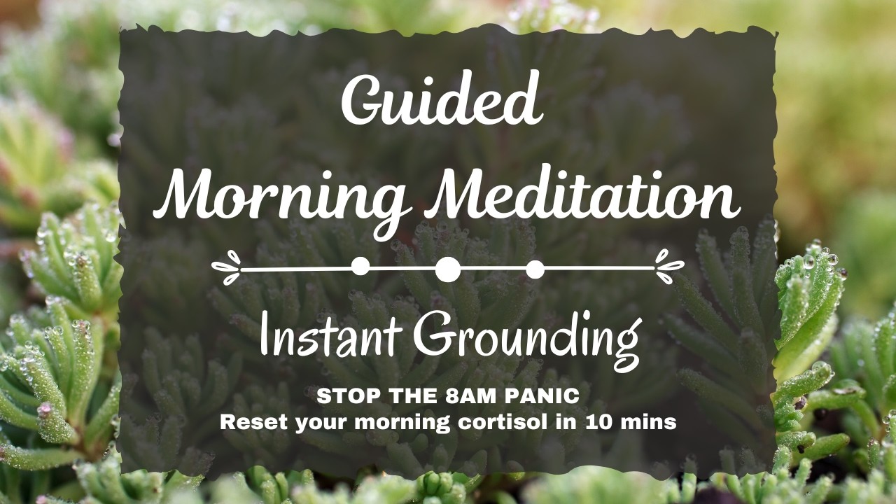 10 Minute Morning Meditation for Nervous System Regulation (Instant Grounding)