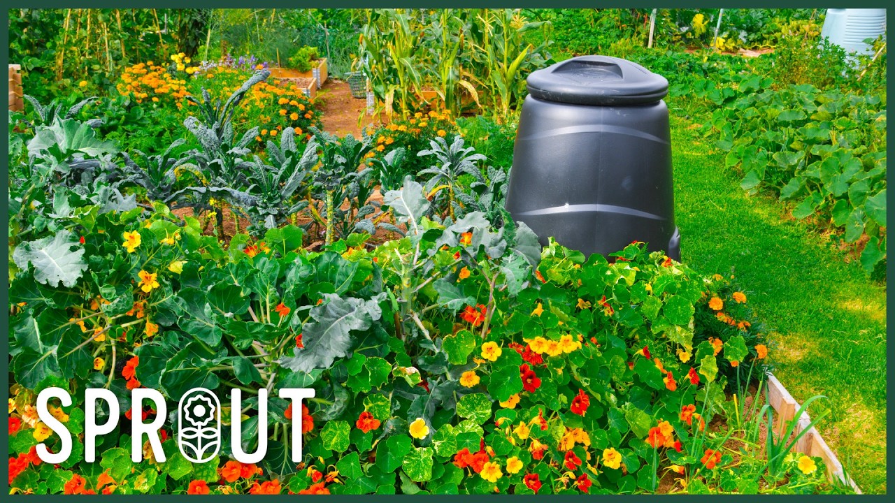 Garden Like A Pro On A Budget: Expert Hacks to Try TODAY!