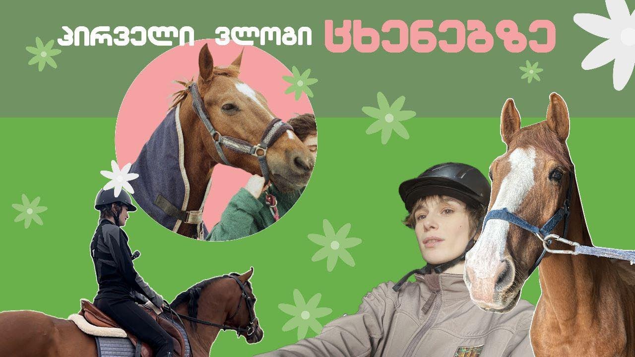 ჩემი პირველი ვლოგი 