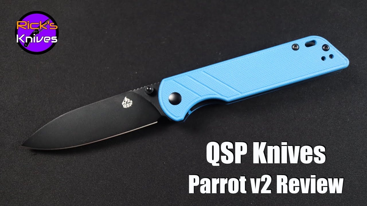 Обзор QSP Parrot v2
