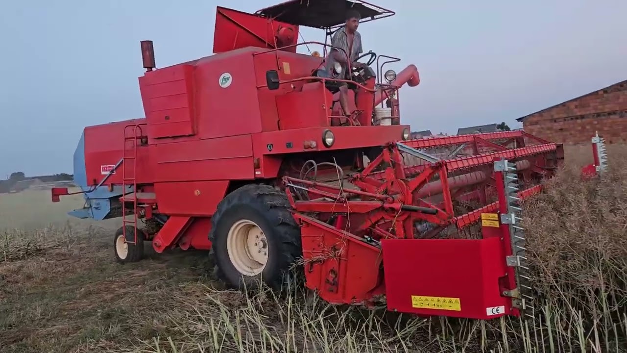 Żniwa rzepaczane Bizon Z056 SW-400
