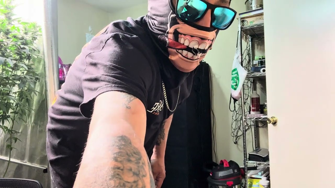 &ldquo;Trim Bag Trimming Weed in Minutes &mdash; How the Trim Bag Really Works&rdquo;