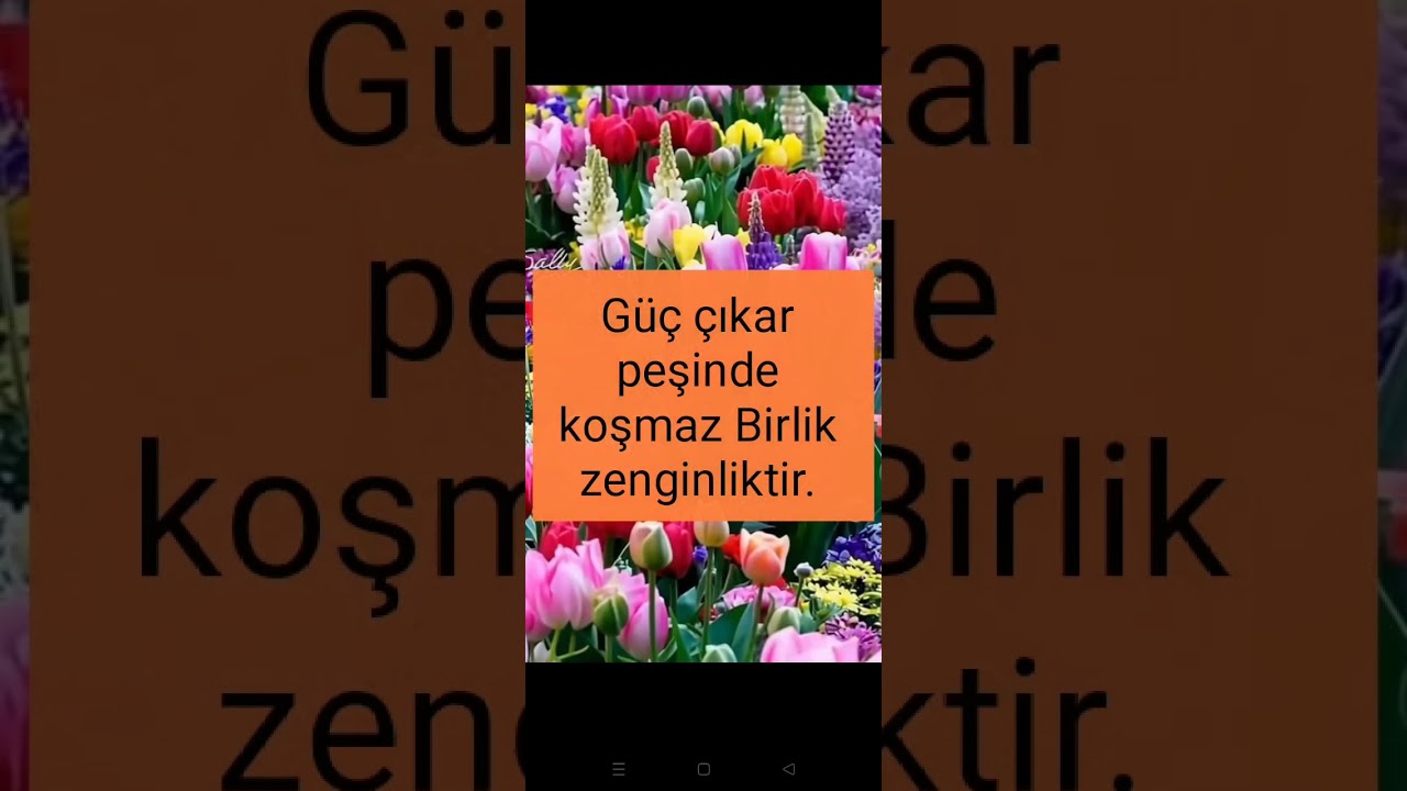 Savaş Bilincinden Nasıl Çıkılır? 