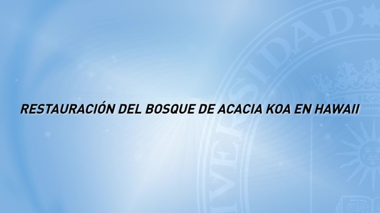Restauración del bosque de Acacia Koa en Hawaii