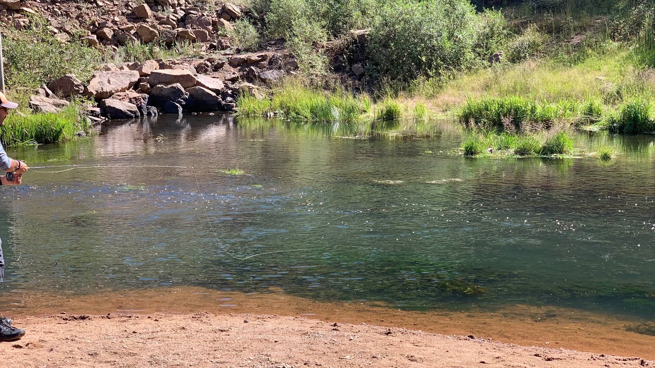 Dry Fly Fishing Beaver Creek below Skaguay Reservoir, Colorado Sept, 2019