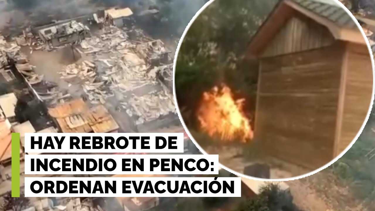 Ordenan evacuación de sectores de Penco tras rebrote de incendio cerca de zonas pobladas