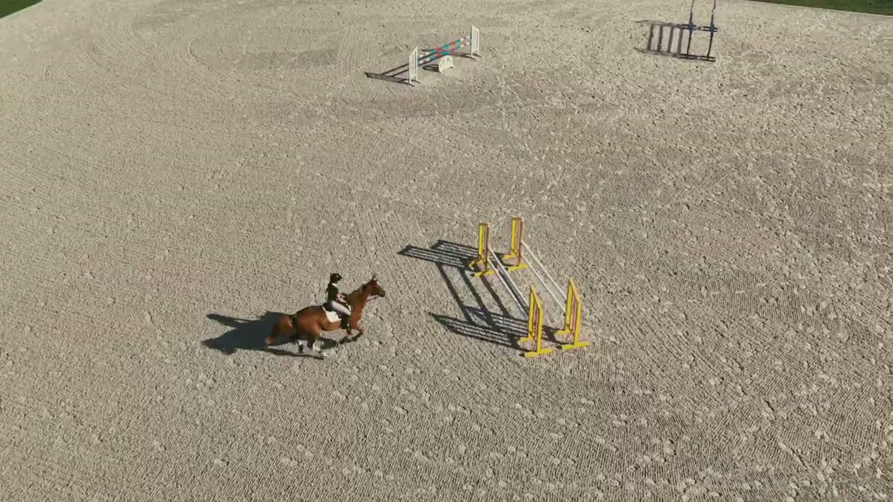 Garmin Blaze Equine wellness system