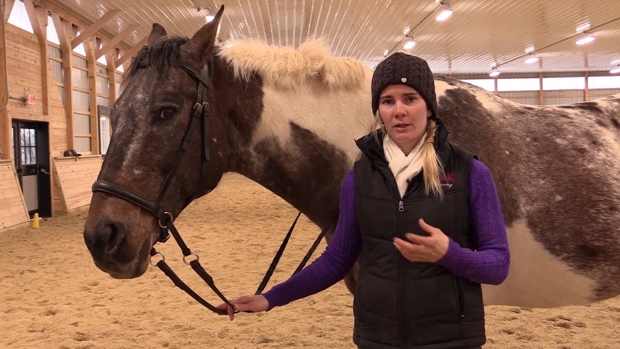 Riding with Bitless Bridles