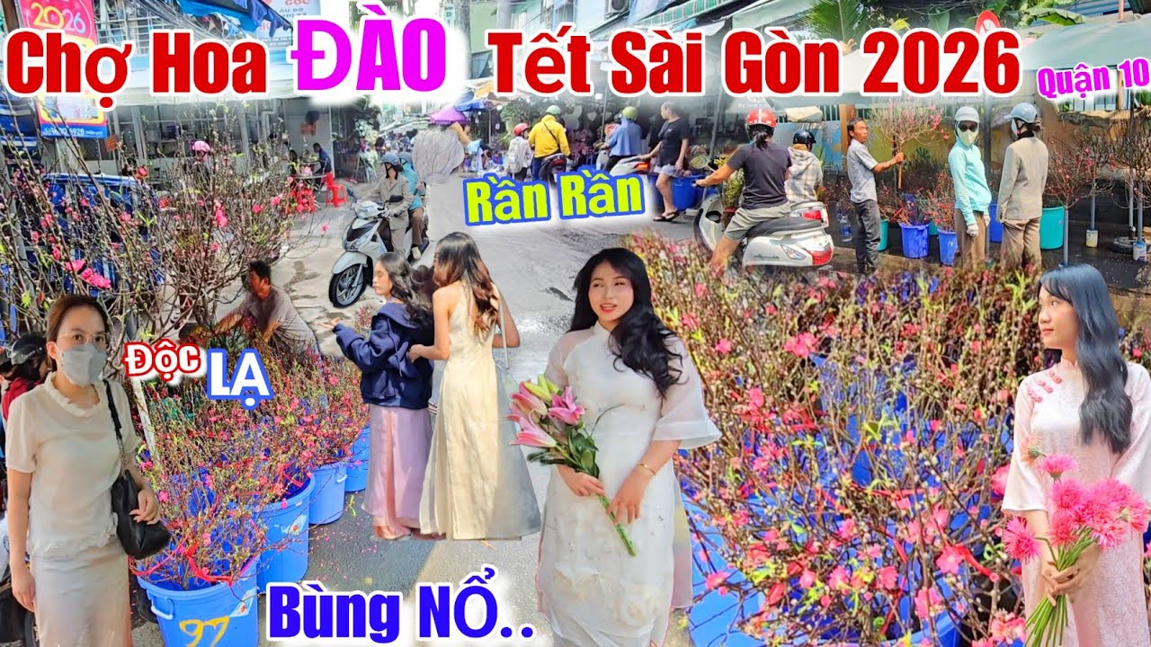 Chợ Hoa ĐÀO Tết sài gòn 2026 Bùng NỔ..Quận 10 Rần rần hoa kiểng Độc Lạ đón xuân