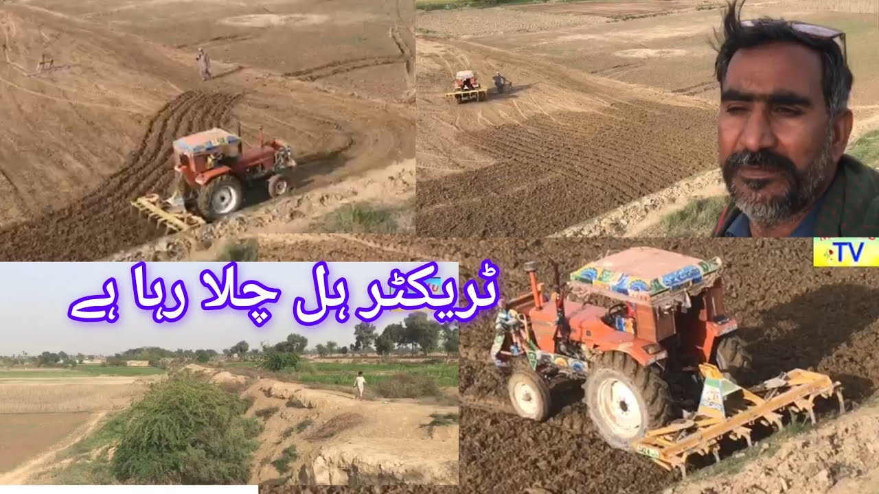 Dariya Dariya Satluj ki Jameen tractor banaa raha hai Mitthu TV