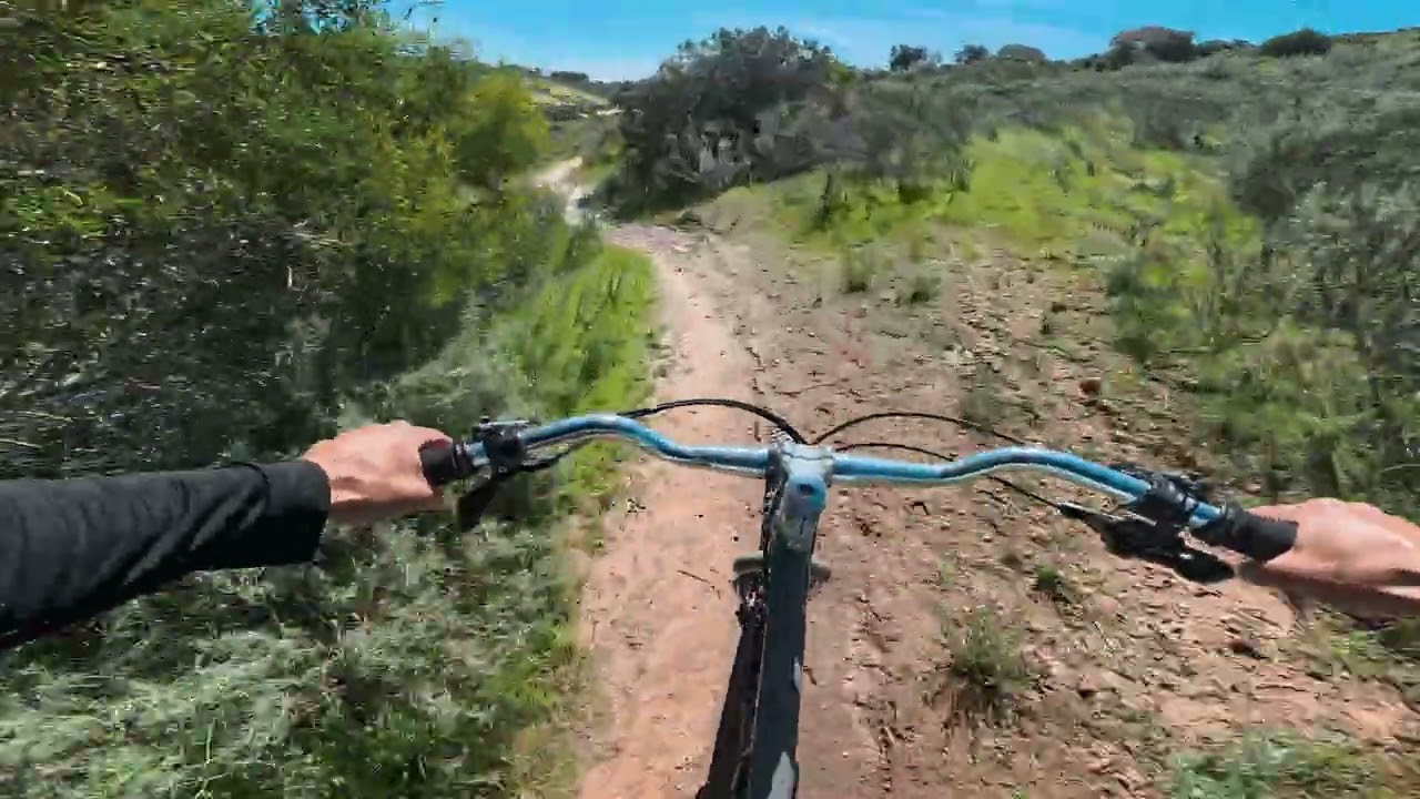 why not ride