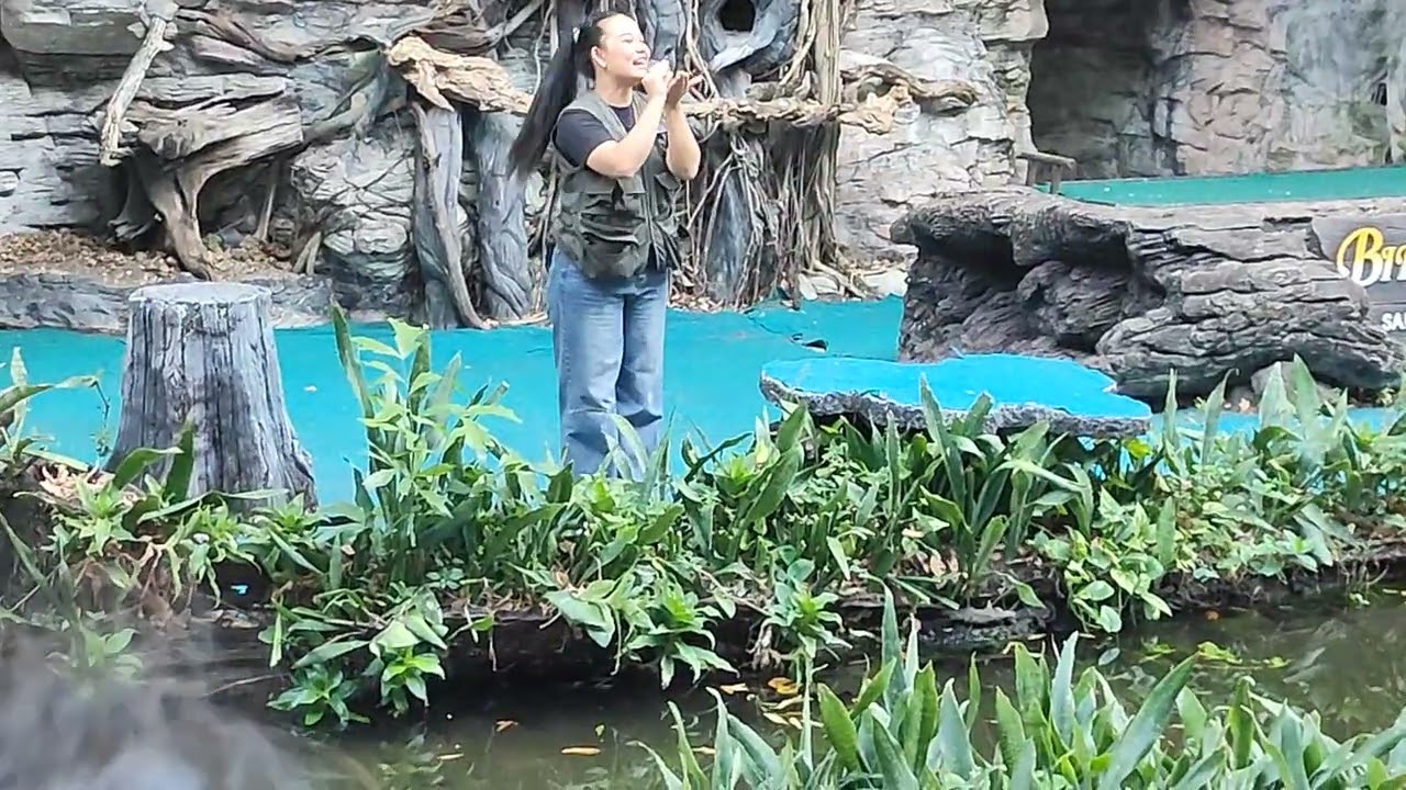 Thailand, jungle bird show
