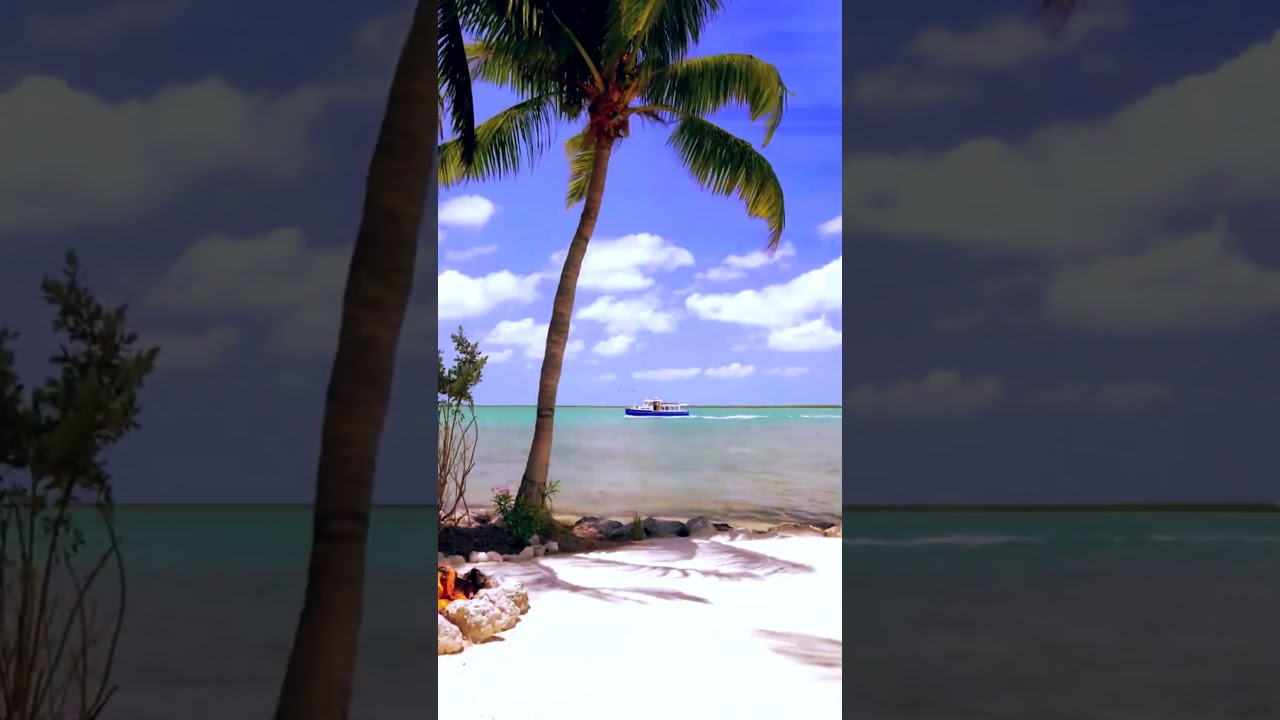Exploring Palawan Island  #citytourism #travel