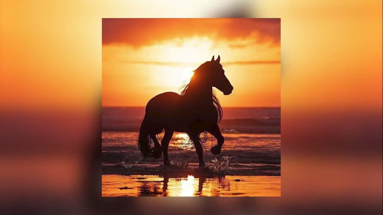 Andalusian Sunset | Relax Spanish Guitar Music (No Copyright) - Free Flamenco Ambient Instrumental