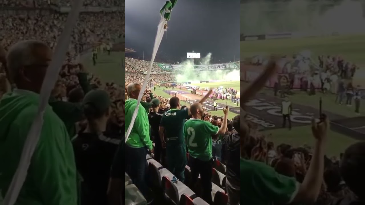 soloverde