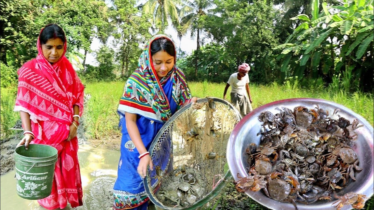 জমি থেকে কাঁকড়া ধরে আজ রান্না করলাম কাঁকড়ার ঝাল||crab masala curry