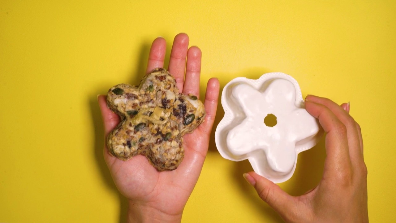 How to Design & Make a Bird Feeder with Mayku FormBox - Mayku Teach (STEM Teaching Resource)