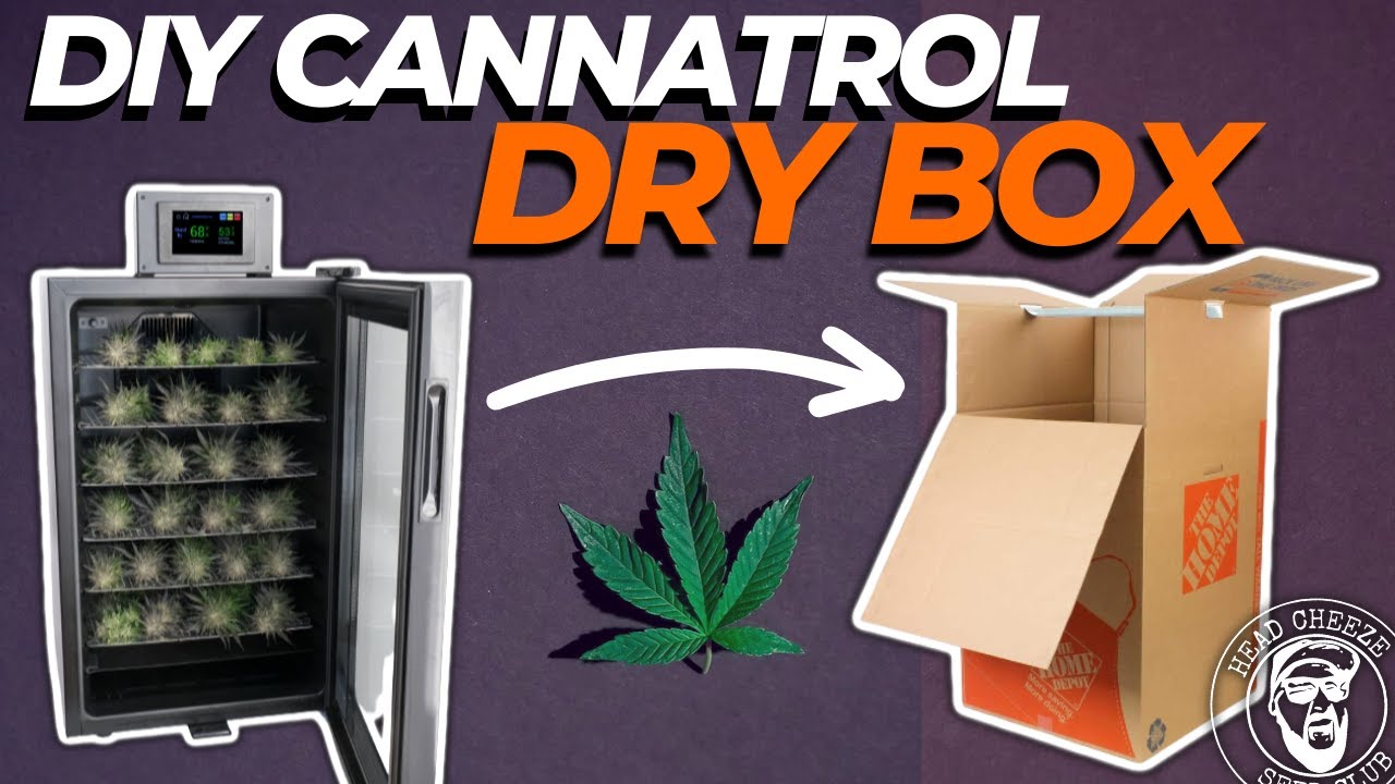 My dollar store version of a Cannatrol weed dry box.