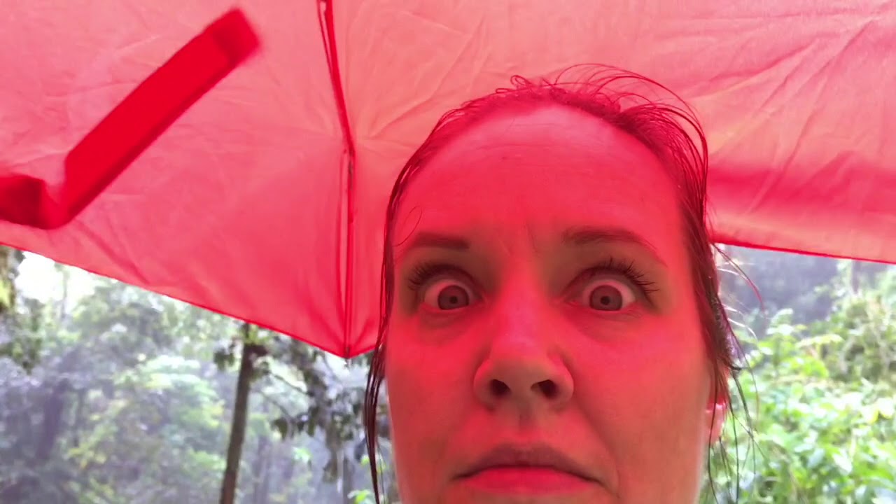 Rainiest Hike Ever! - Flash Flood on Pīpīwai trail