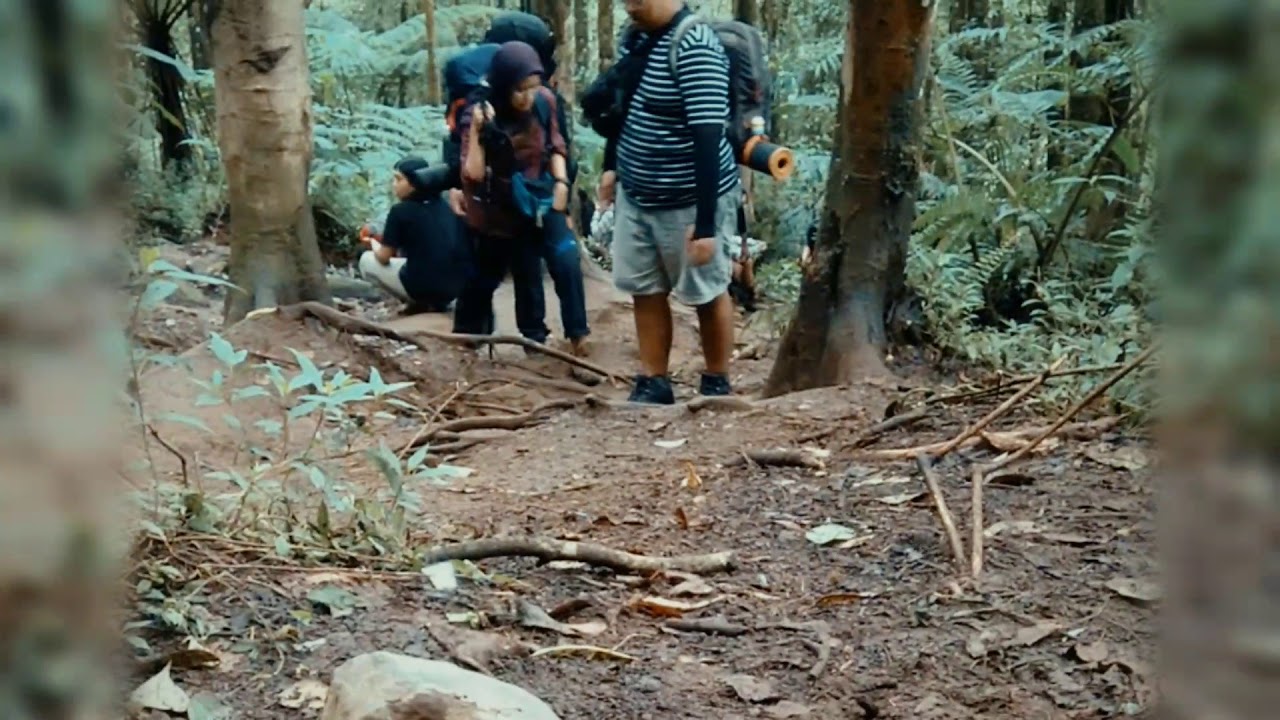Gede pangrango (22-11-20)