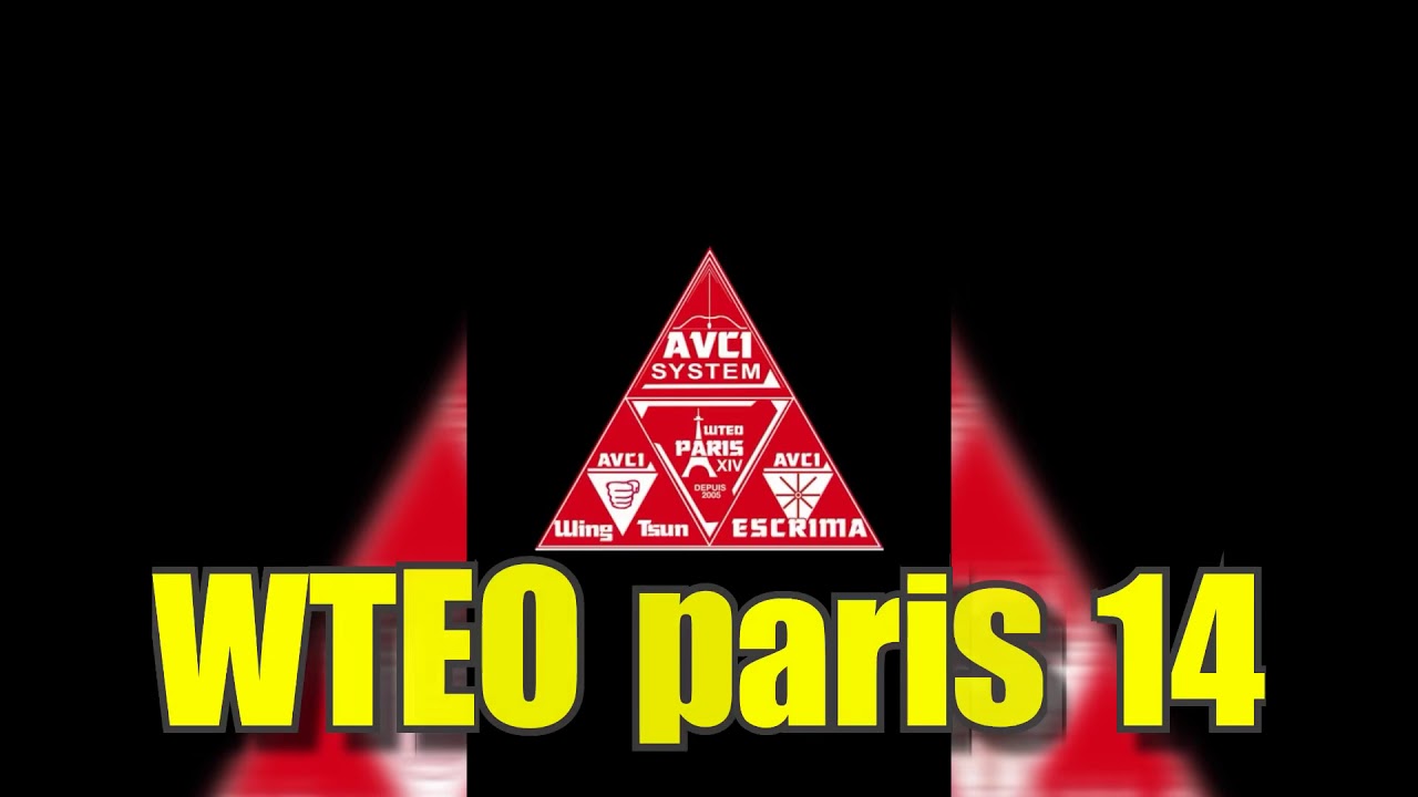 Wing tsun escrima avci