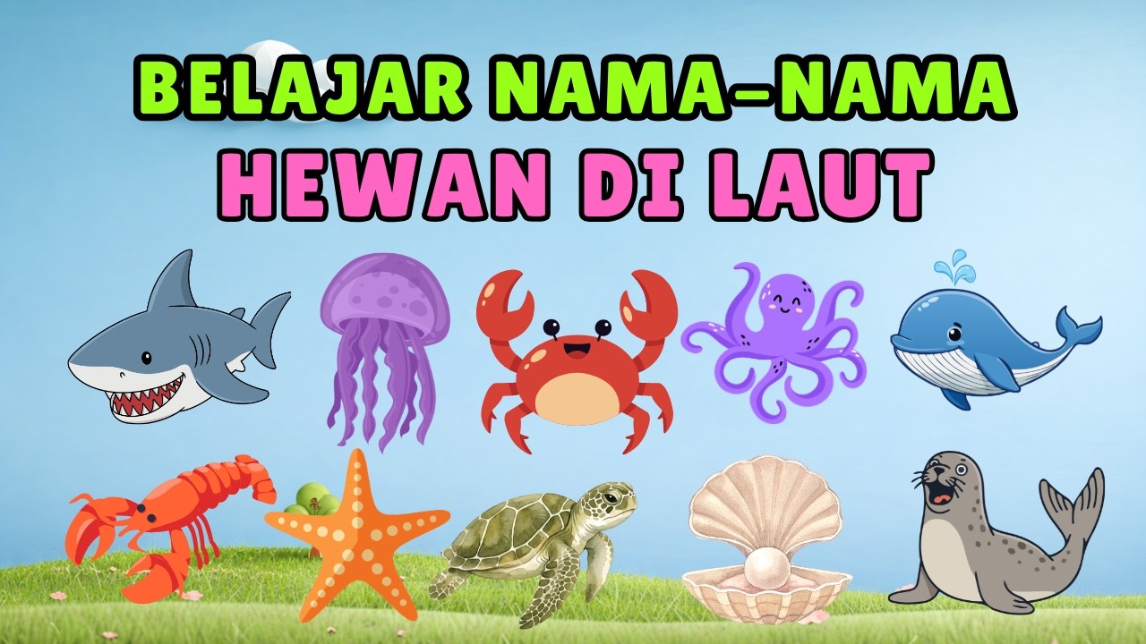 BELAJAR NAMA-NAMA HEWAN DI LAUT | Balita dan PAUD | Bahasa indonesia #abcd #belajaranak