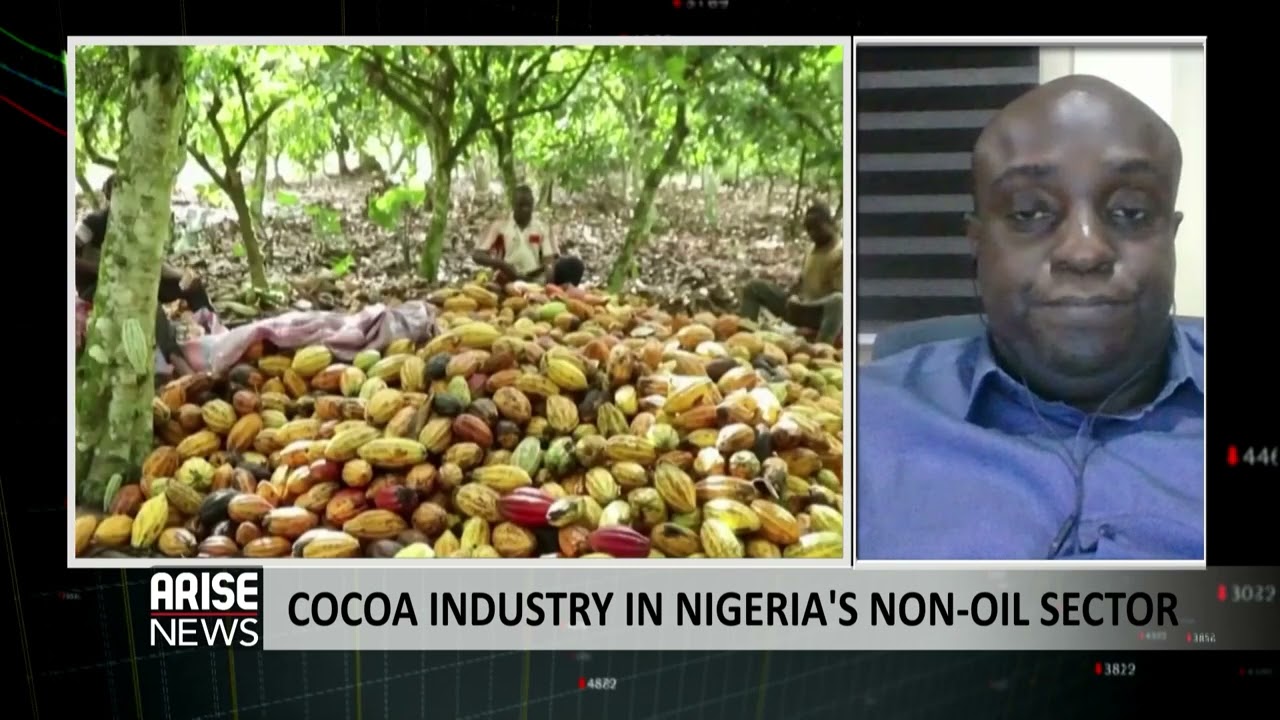 Cocoa Production Contributes 41.6% to Nigeria's Foreign Exchange - Wellington Omoregie