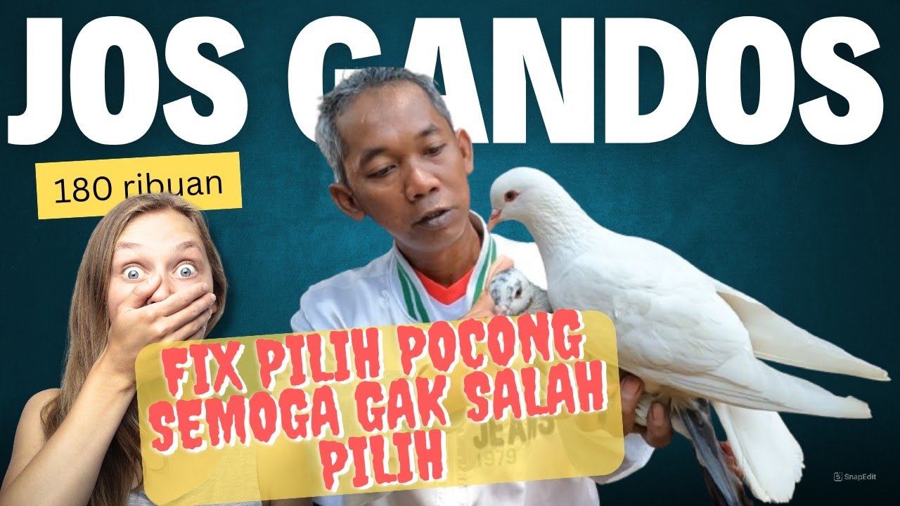 Pedagang Merpati Baru Daerah Pondok Bambu Jakarta Timur