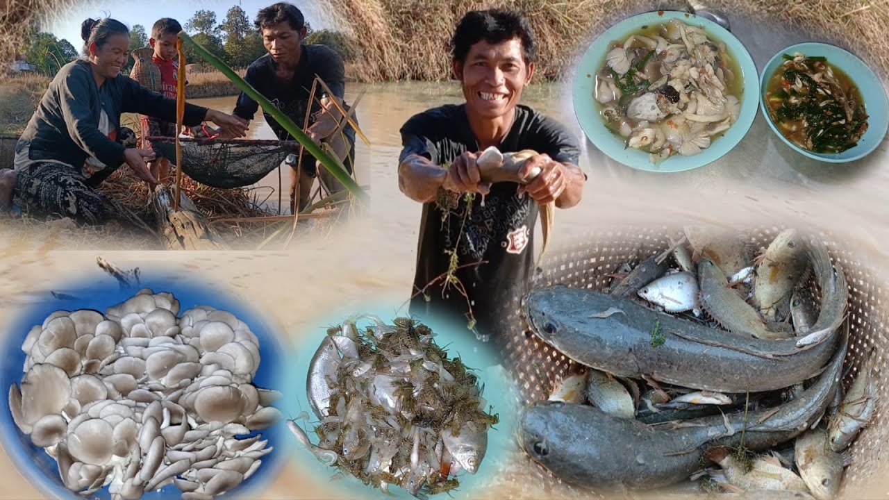 30 ธันวาคม ค.ศ. 2025