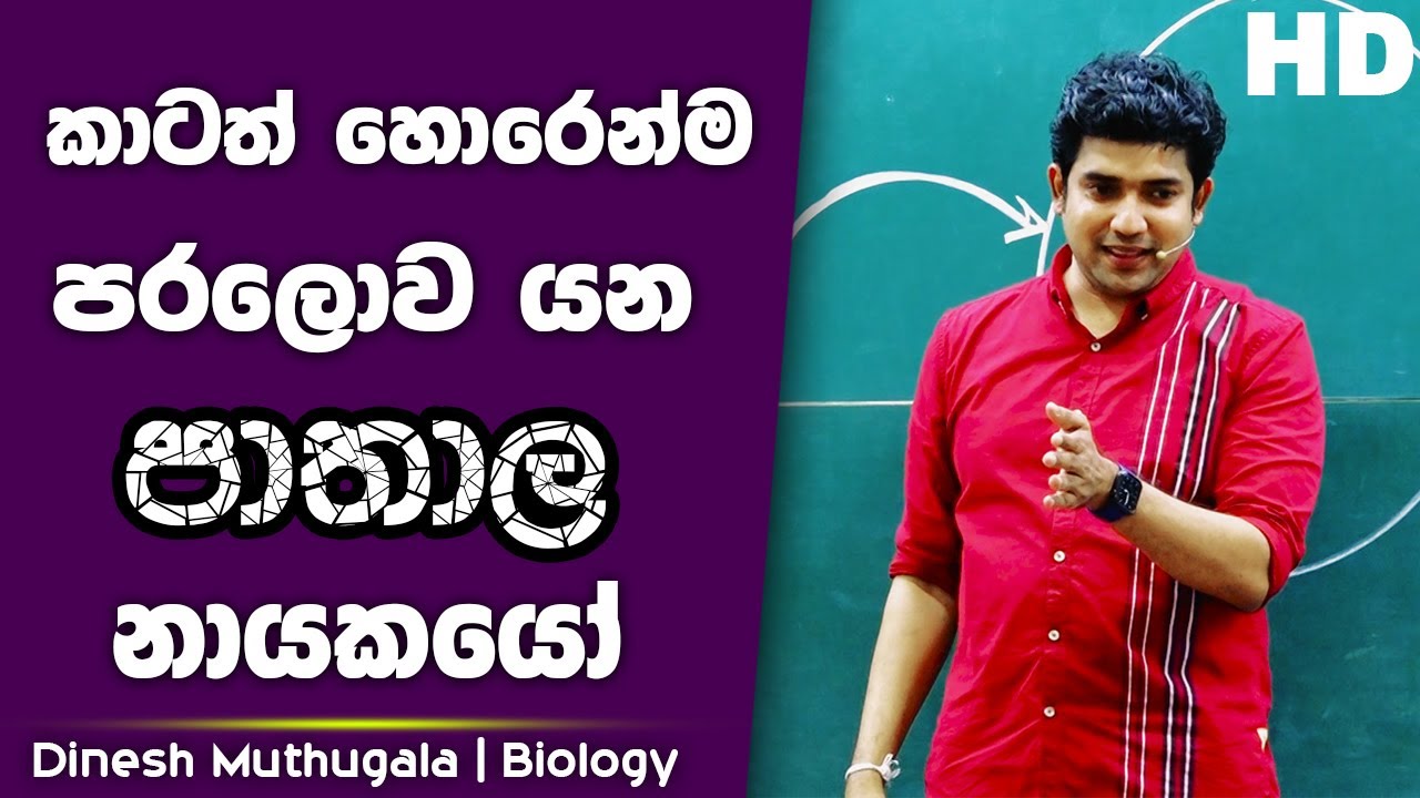 කාටත් හොරෙන්ම පරලොව යන පාතාල නායකයෝ | Dinesh Muthugala