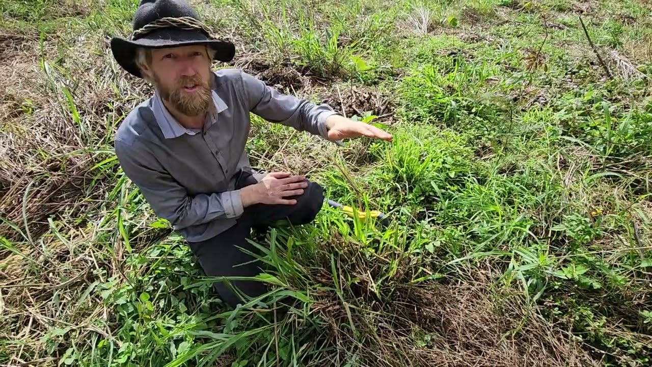 Using Disturbance & Recovery Time for Species Selection in Natural Sucession