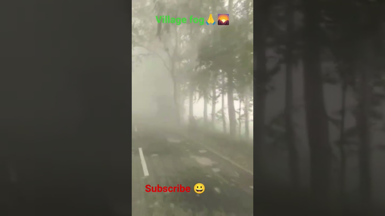 village fog short video 
