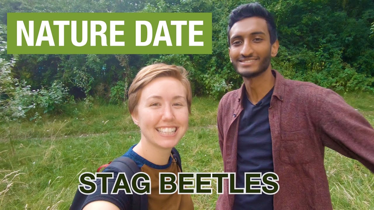 Nature Date with @AnpuLondon - stag beetles